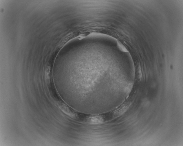 X0000068820275200605051218