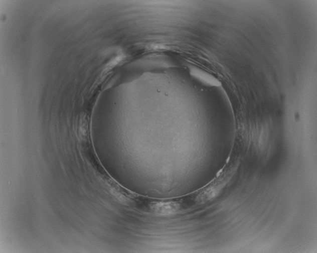 X0000068820277200605051218