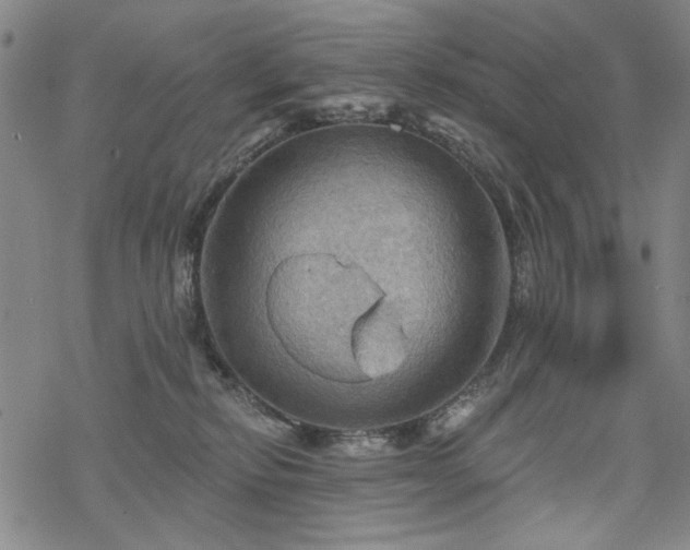 X0000068820278200605051218