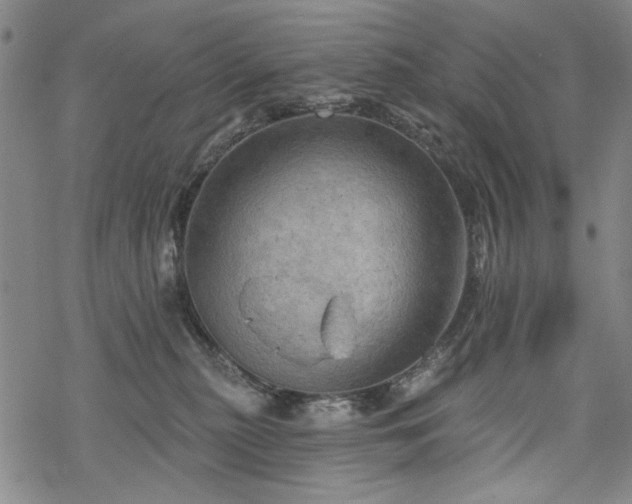 X0000068820279200605051218