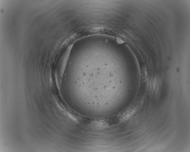 X0000068820280200605051218