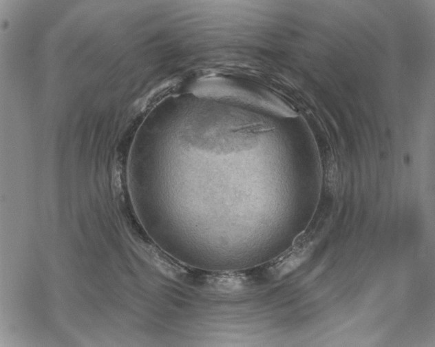 X0000068820282200605051218