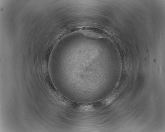 X0000068820283200605051218