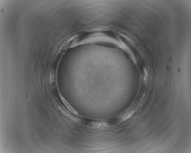 X0000068820284200605051218