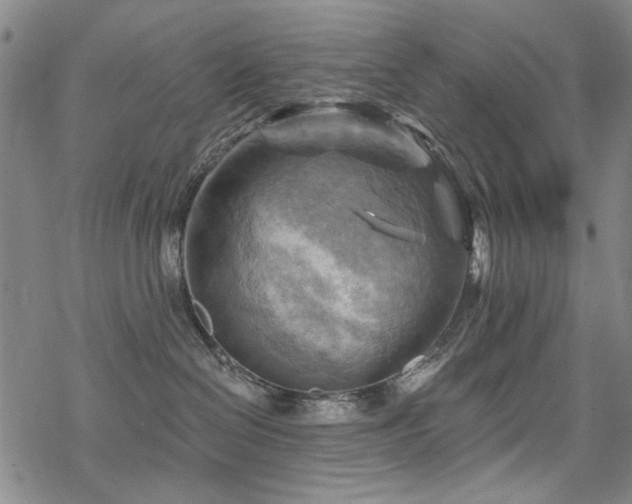 X0000068820286200605051218