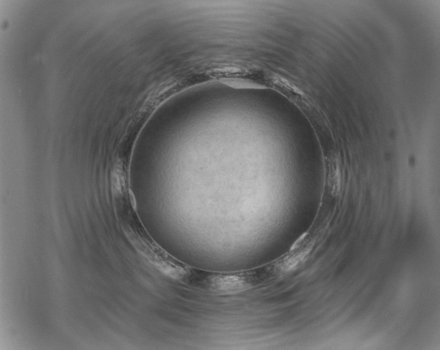 X0000068820287200605051218