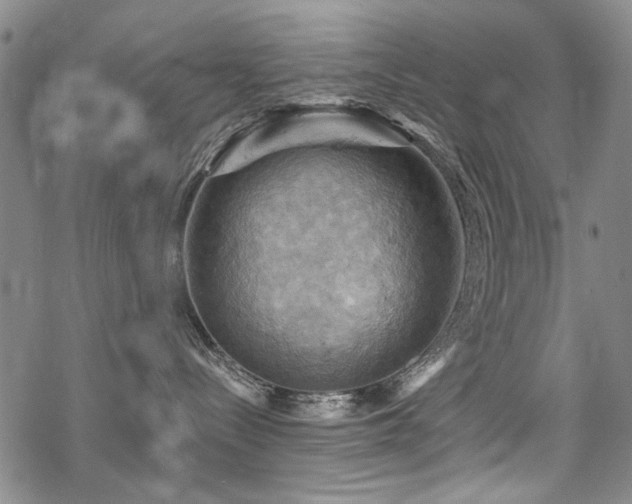 X0000068820288200605051218