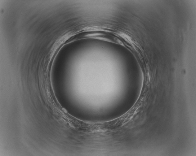 X0000068820289200605051218