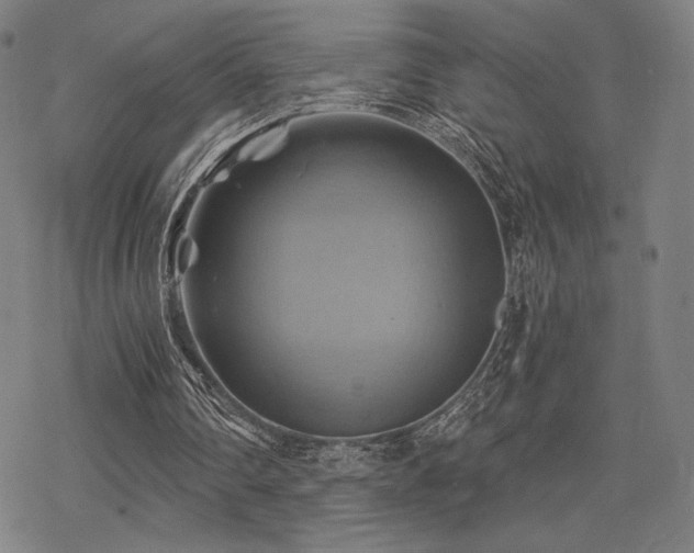 X0000068820290200605051218