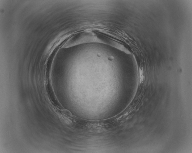 X0000068820291200605051218