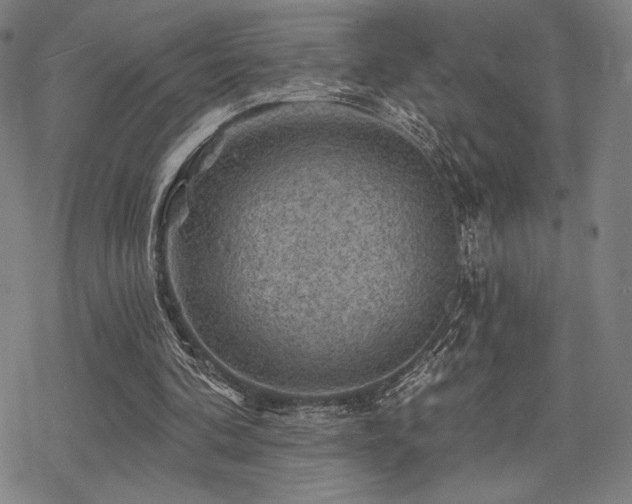 X0000068820292200605051218