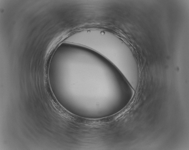 X0000068820293200605051218