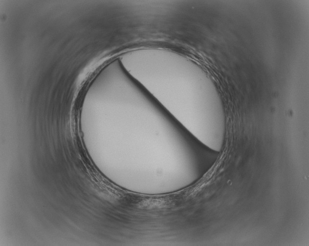 X0000068820294200605051218