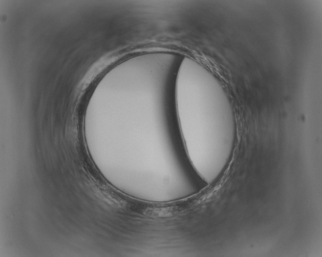 X0000068820295200605051218