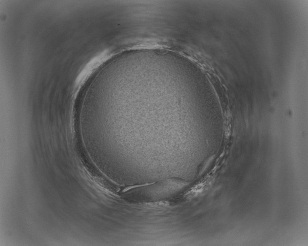 X0000068820296200605051218