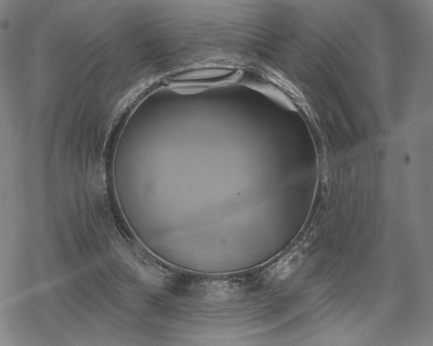 X0000068820298200605051218