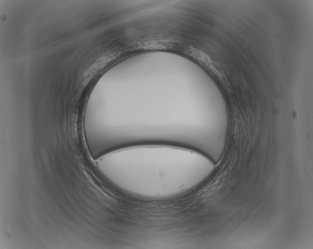 X0000068820299200605051218