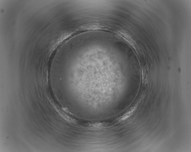 X0000068820301200605051217