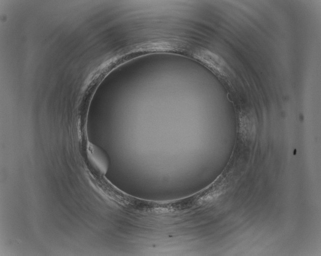 X0000068820302200605051217