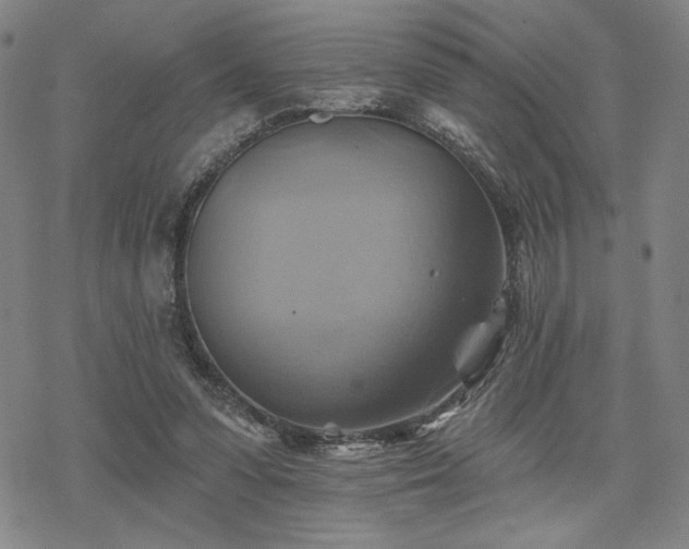 X0000068820303200605051217