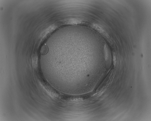 X0000068820304200605051217