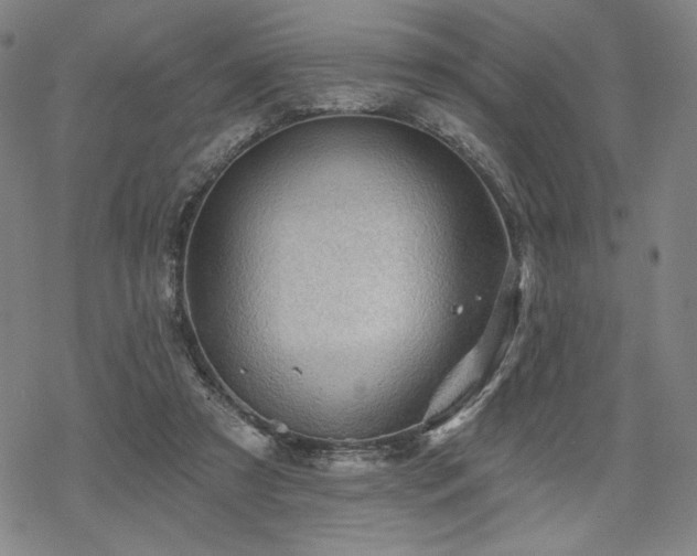 X0000068820305200605051217