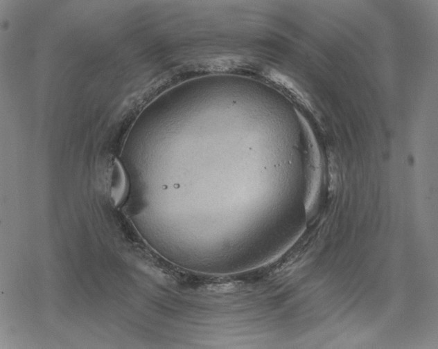 X0000068820307200605051217