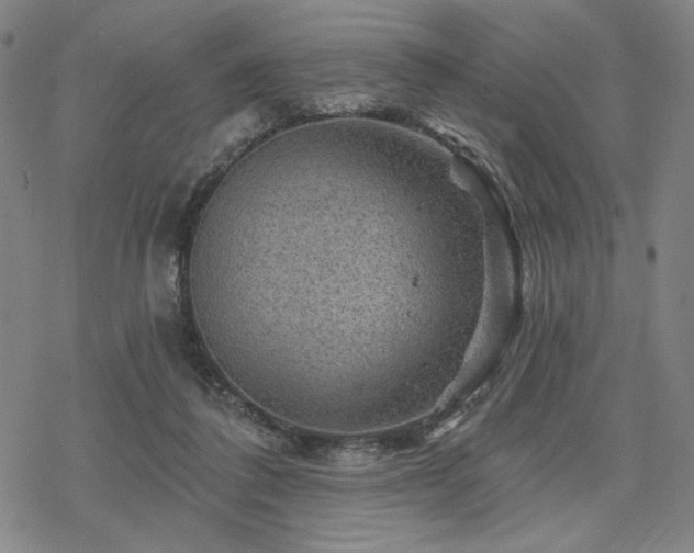 X0000068820308200605051217