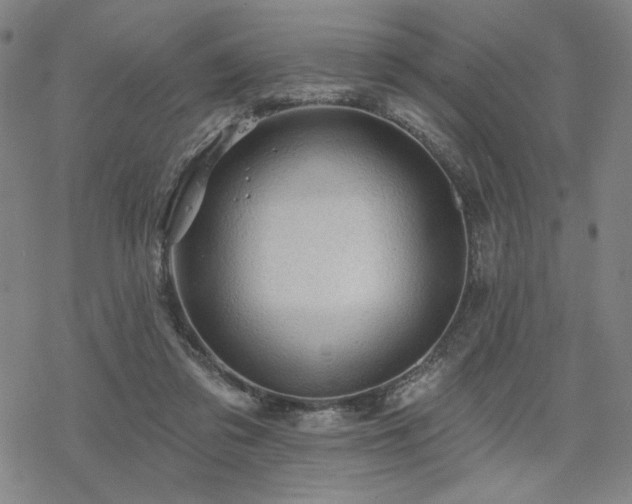 X0000068820309200605051217