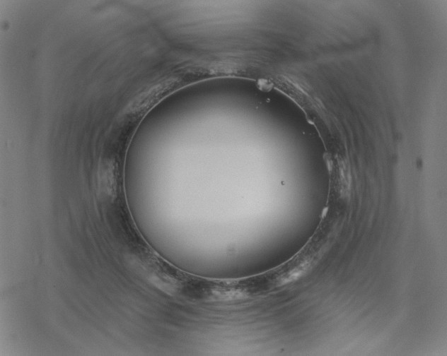 X0000068820311200605051217