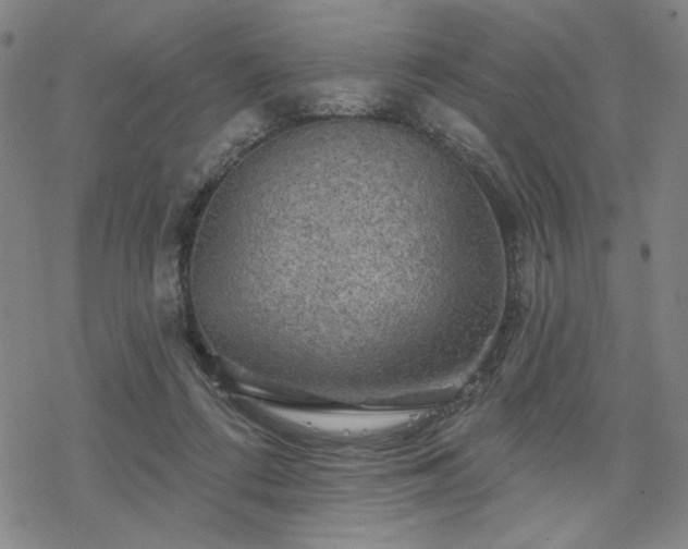 X0000068820312200605051217