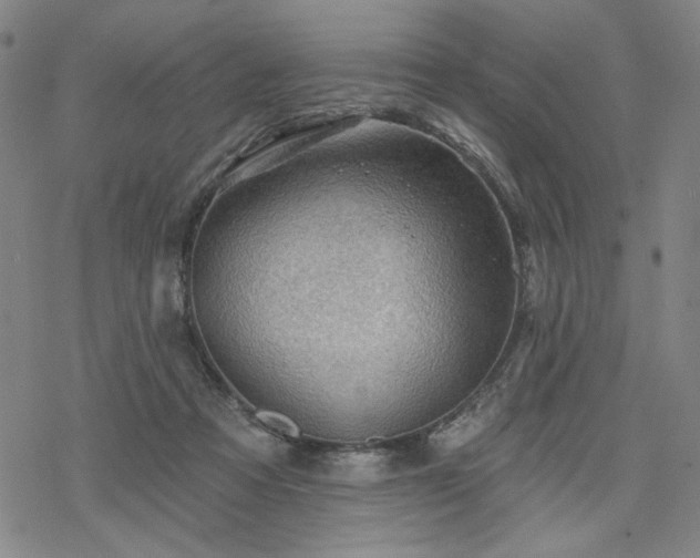 X0000068820313200605051217