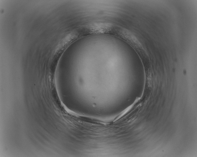 X0000068820314200605051217