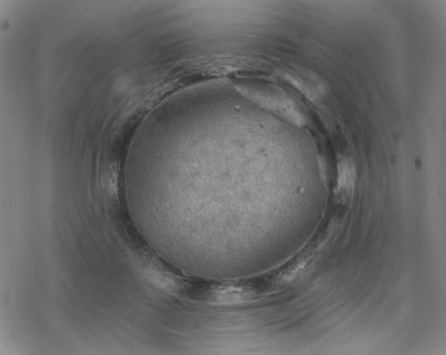 X0000068820315200605051217