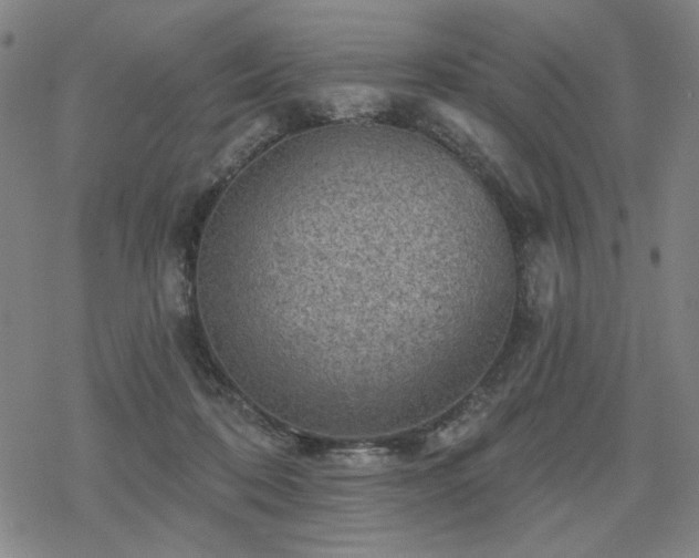 X0000068820316200605051217