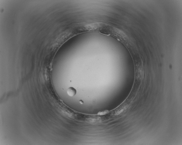 X0000068820317200605051217