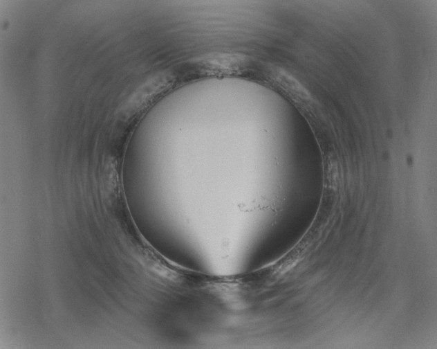 X0000068820318200605051217