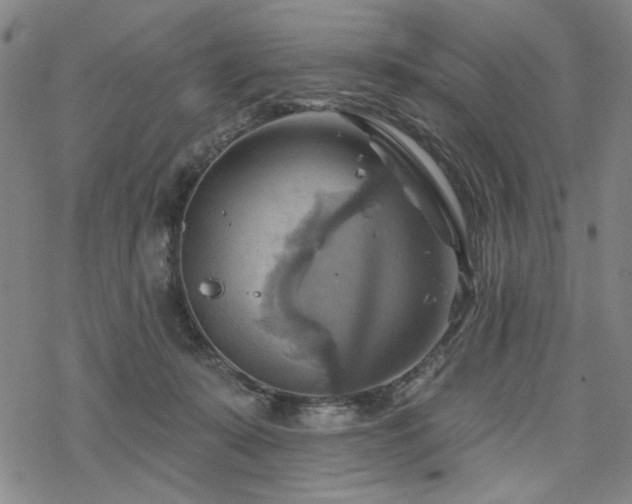 X0000068820319200605051217