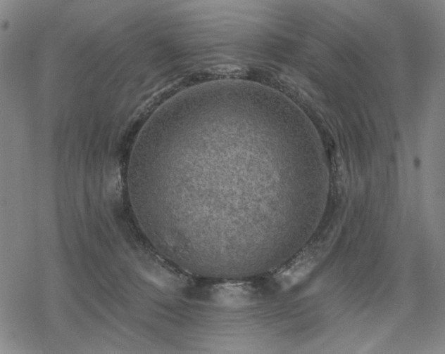 X0000068820320200605051217