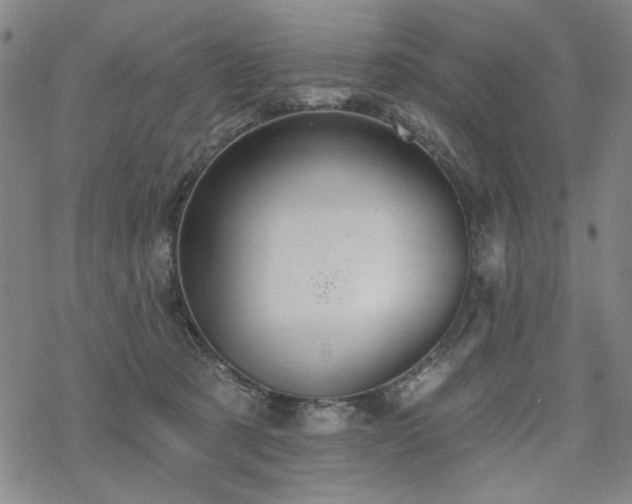 X0000068820321200605051217