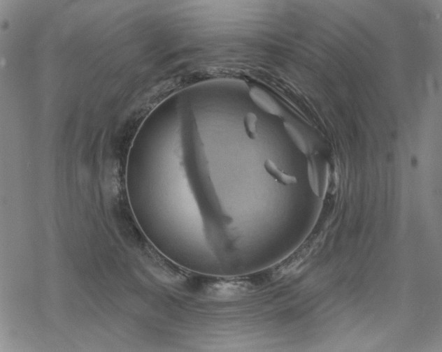 X0000068820323200605051217