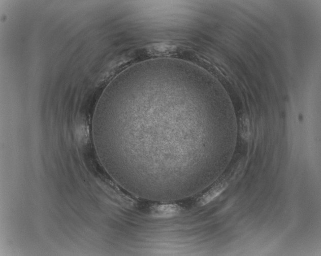 X0000068820324200605051217