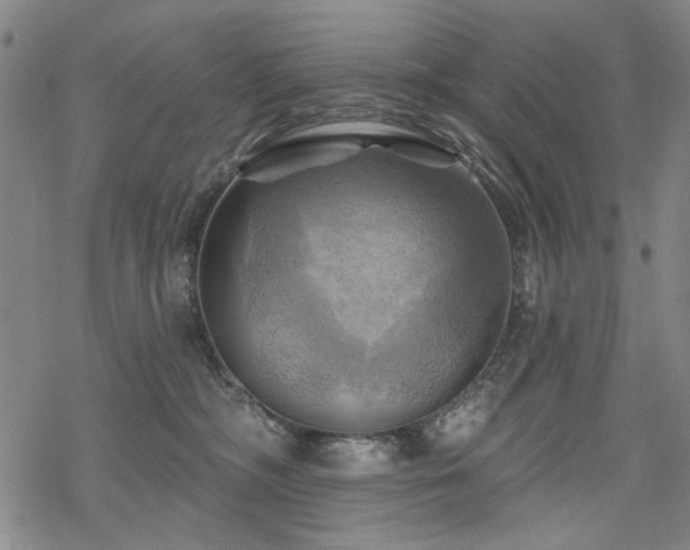 X0000068820326200605051217