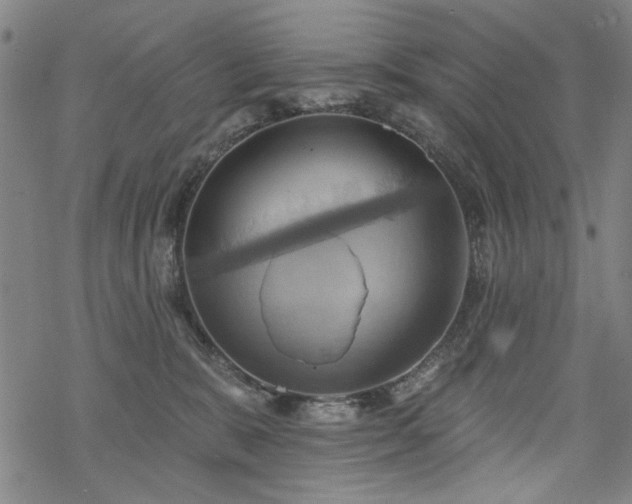 X0000068820327200605051217