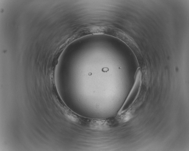 X0000068820329200605051217