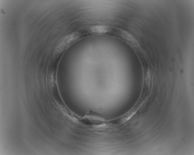 X0000068820330200605051217