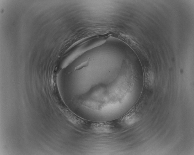 X0000068820331200605051217