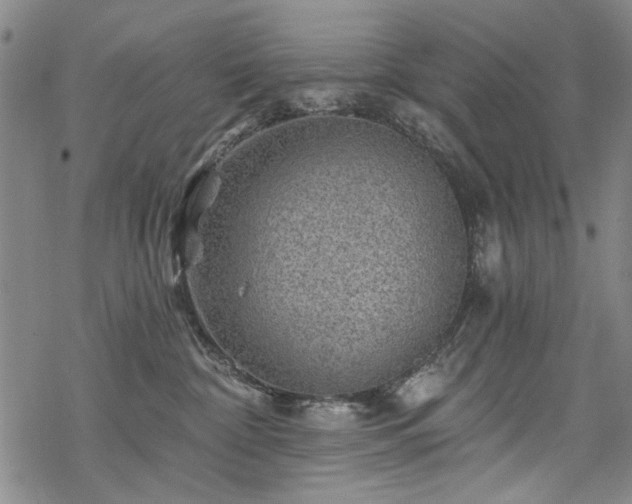 X0000068820332200605051217