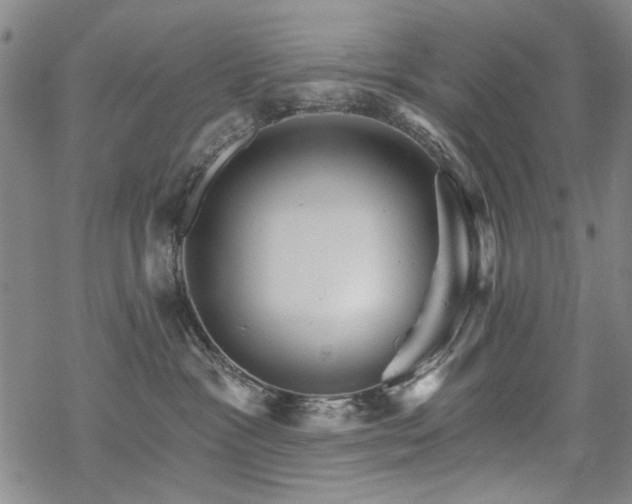 X0000068820333200605051217