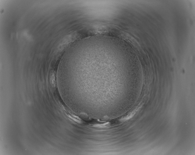 X0000068820336200605051217